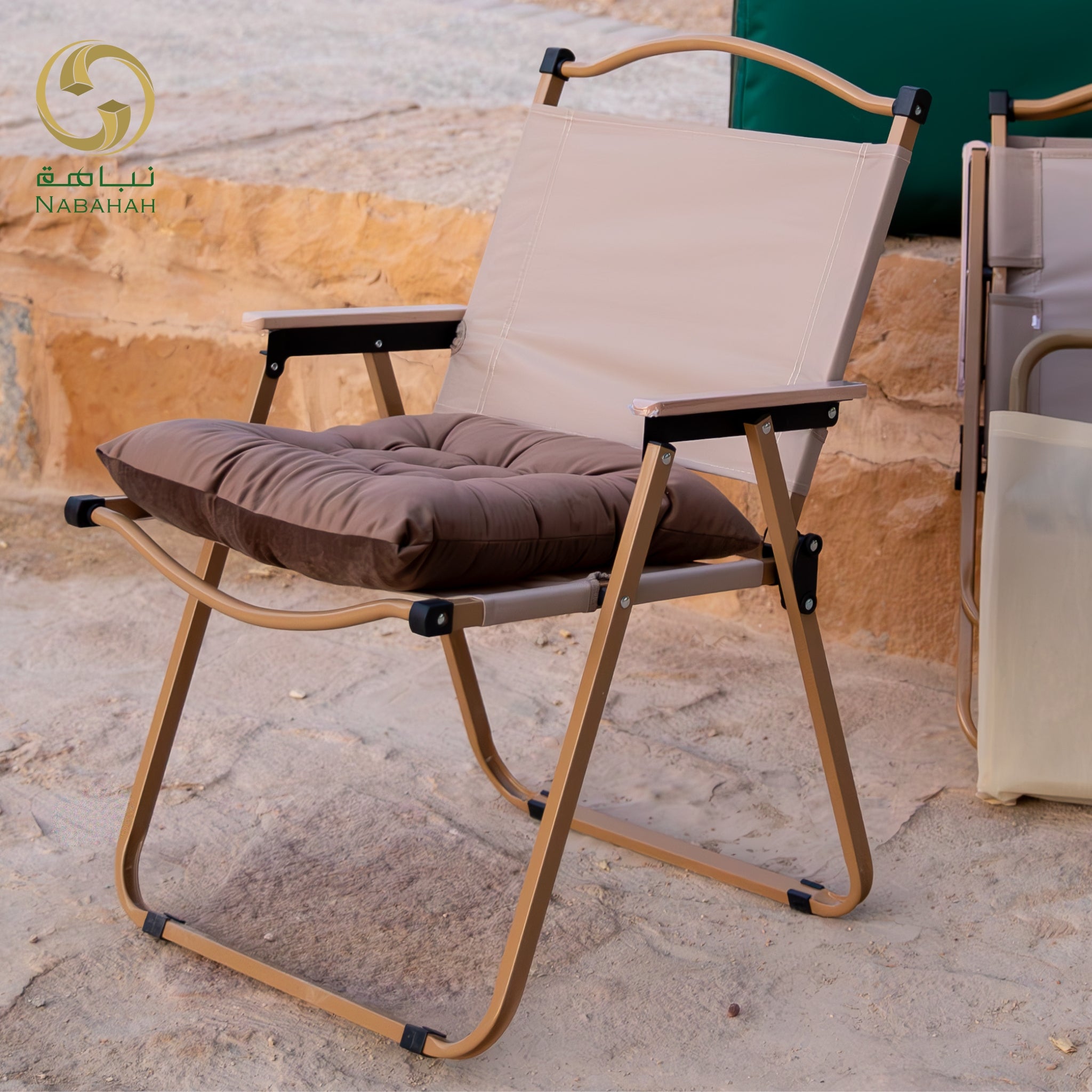 كرسي رحلات + مخدة
