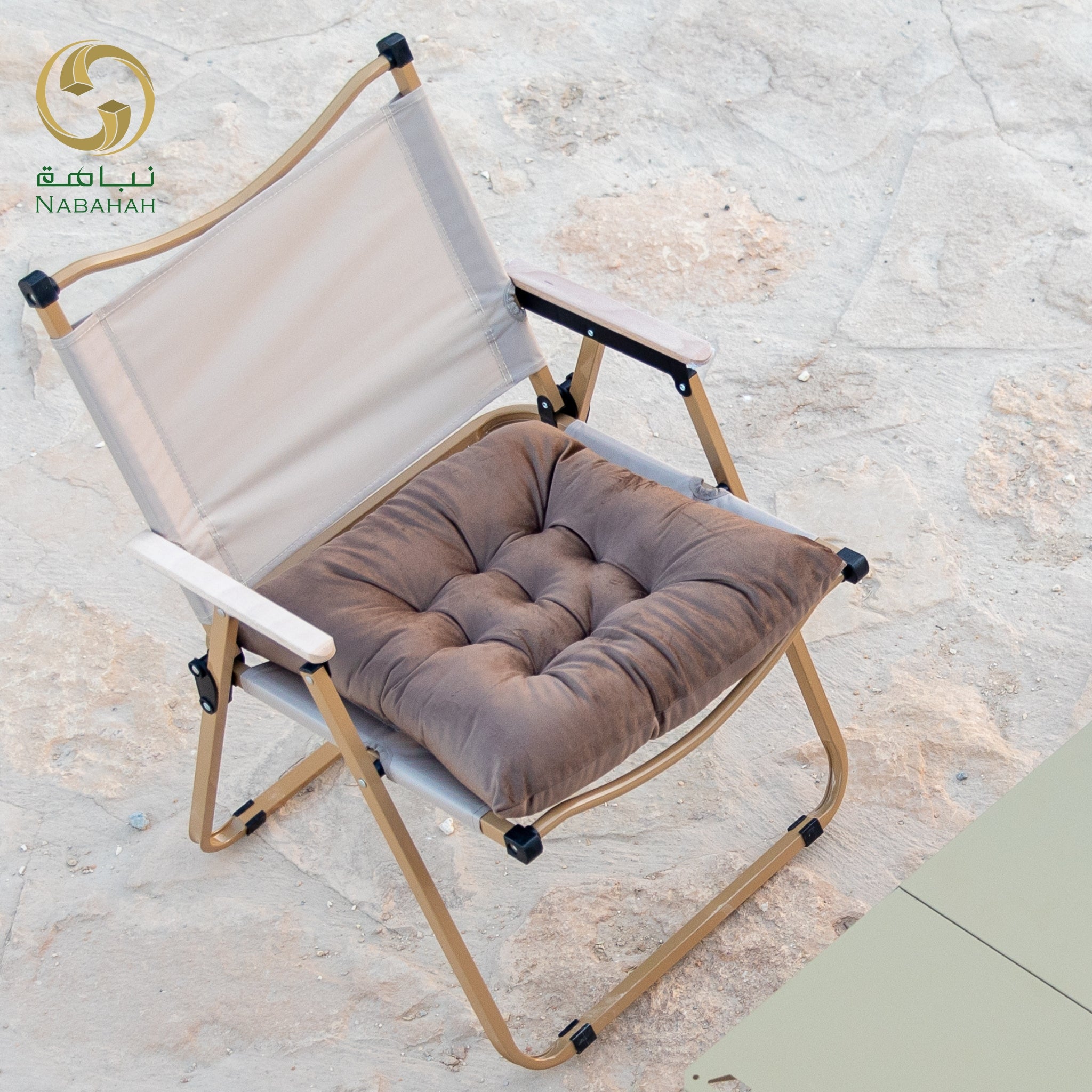 كرسي رحلات + مخدة