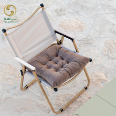 كرسي رحلات + مخدة